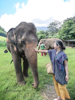 TheSavvyPantry-ChiangMai2Days-Day1-ElephantHappyHome (6)